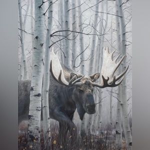 Out of the Woods - Limited Edition Print #200/250